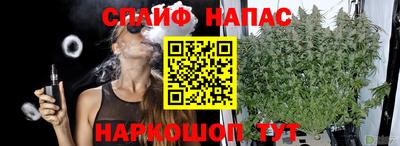 сатива Белореченск
