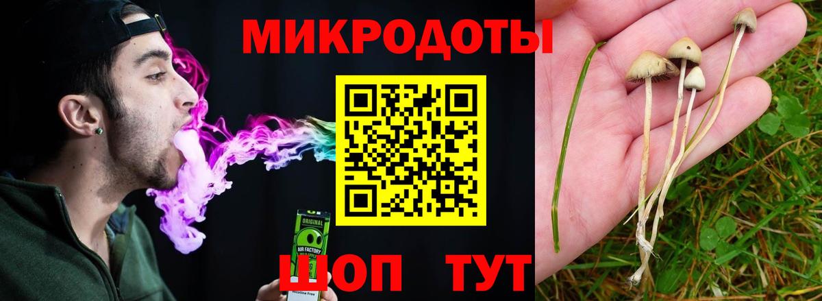 Галлюциногенные грибы ЛСД Армавир