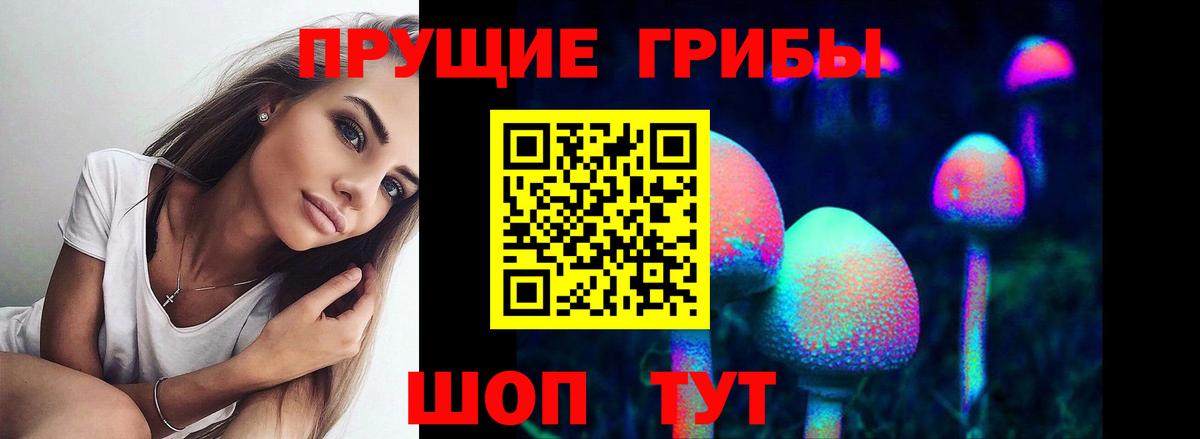 Псилоцибиновые грибы Psilocybine cubensis  Вход с VPN  Галлюциногенные грибы мухоморы  Армавир 